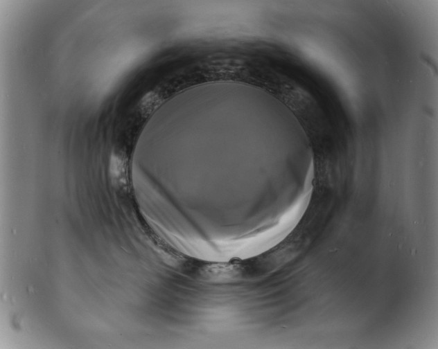 X0000102220526200808081319