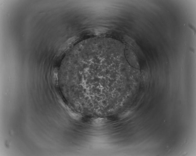 X0000102220527200808081319