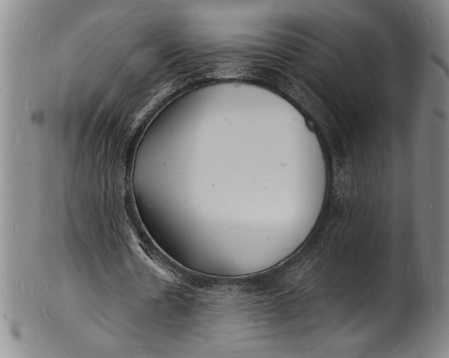 X0000102220530200808081319