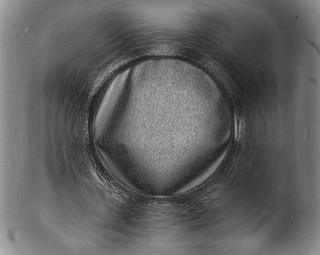 X0000102220531200808081319