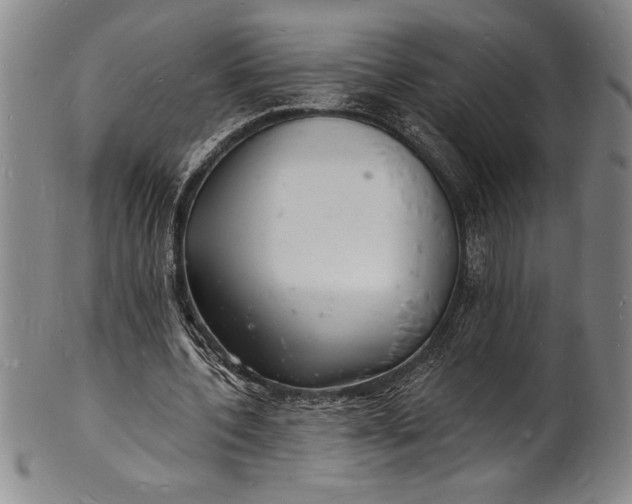 X0000102220532200808081319