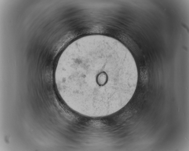 X0000102220534200808081319