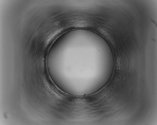 X0000102220535200808081319