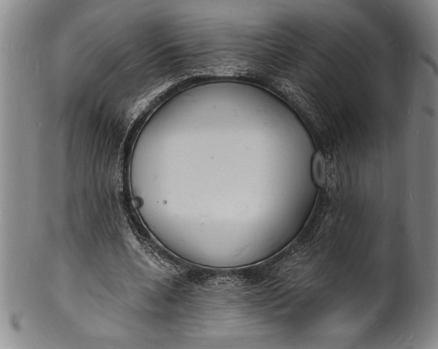 X0000102220536200808081319