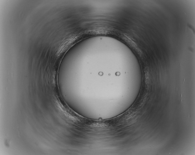 X0000102220537200808081319