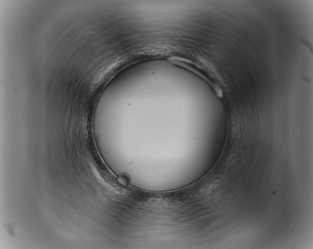 X0000102220538200808081319