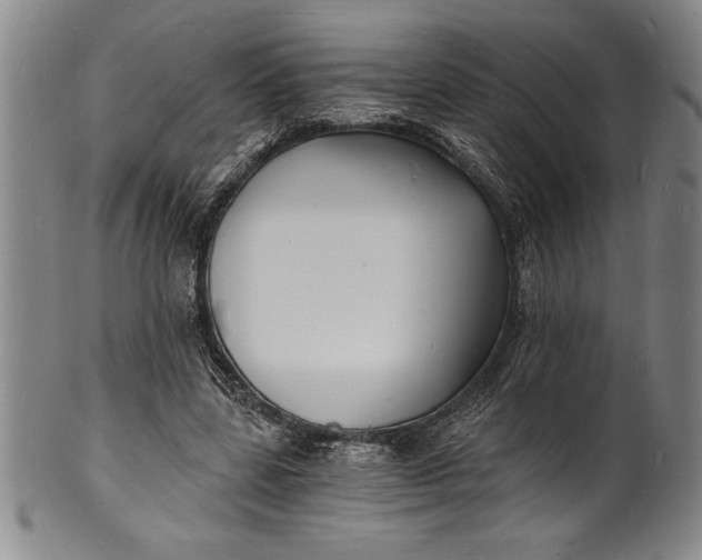 X0000102220539200808081319