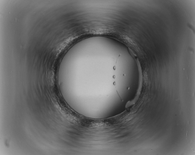 X0000102220540200808081319