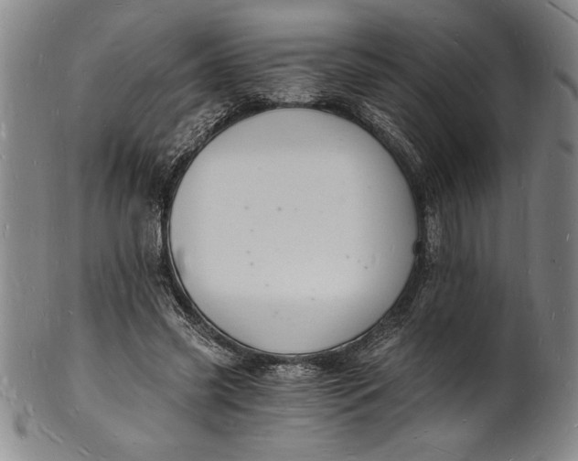 X0000102220541200808081319