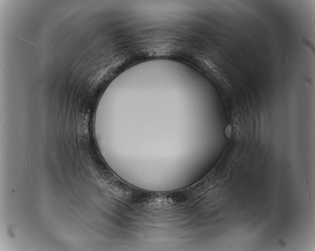 X0000102220543200808081319