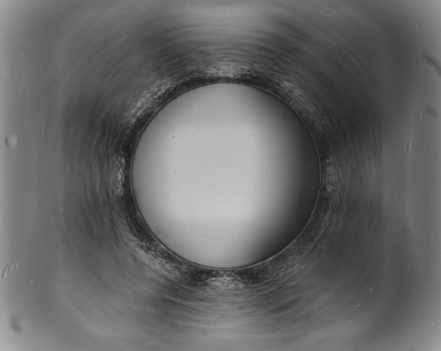 X0000102220544200808081319