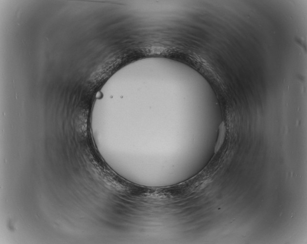 X0000102220545200808081319