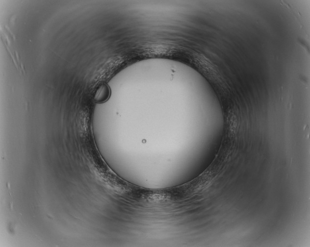 X0000102220546200808081319