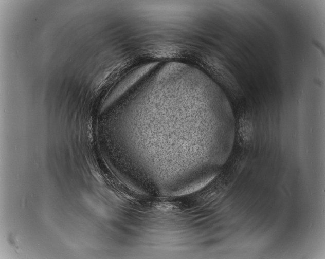 X0000102220547200808081319