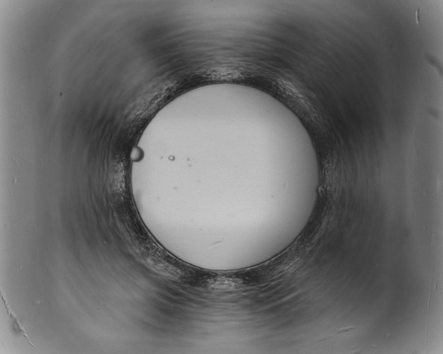 X0000102220549200808081319