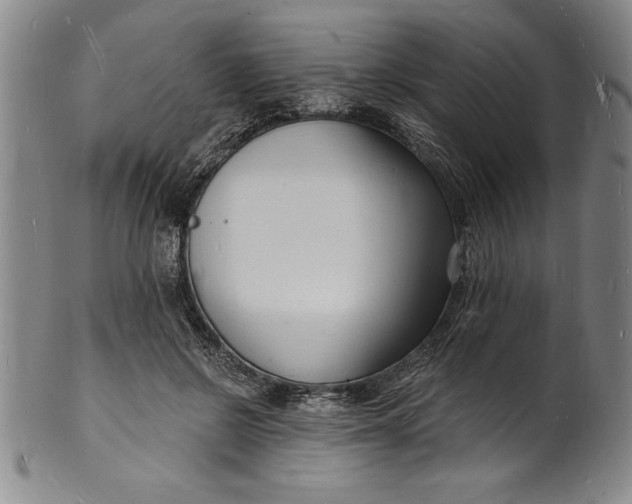 X0000102220550200808081319