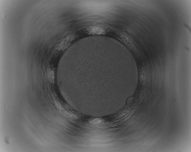 X0000102220551200808081319