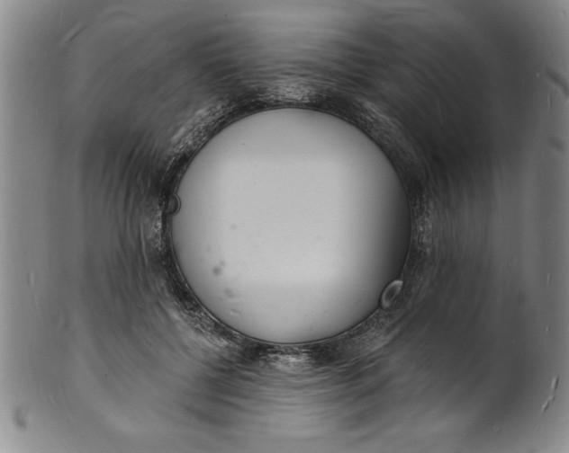 X0000102220552200808081319