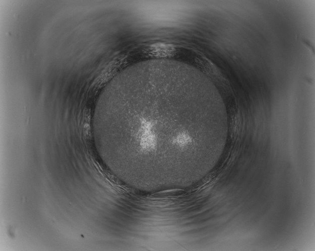 X0000102220553200808081319