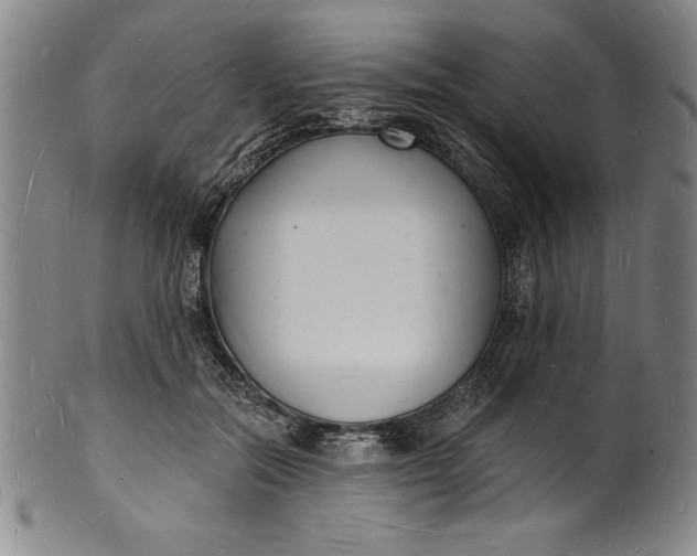 X0000102220554200808081319