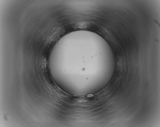 X0000102220555200808081319