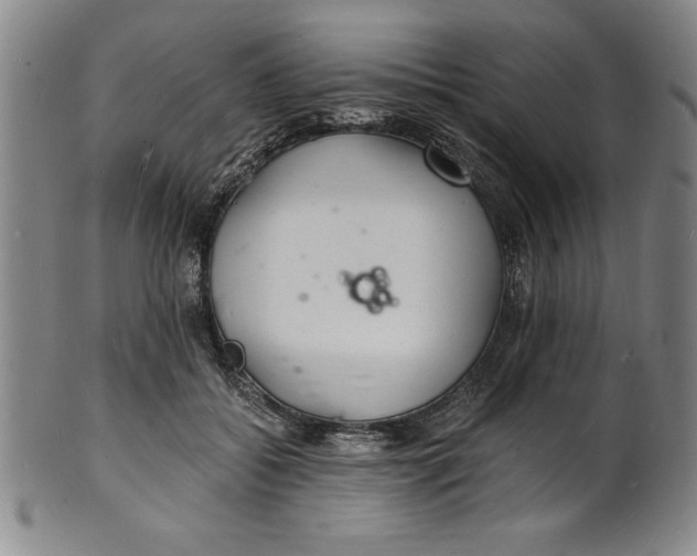 X0000102220556200808081319