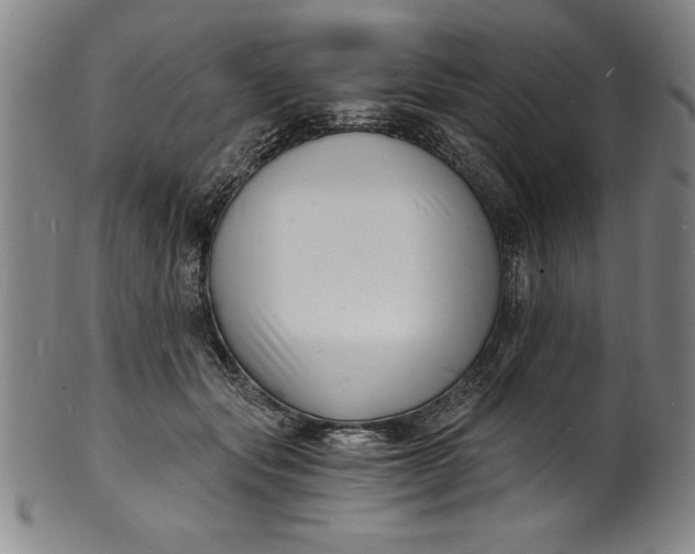 X0000102220557200808081319