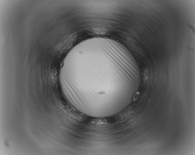 X0000102220559200808081319