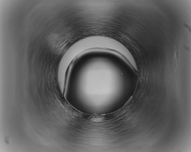 X0000102220560200808081319