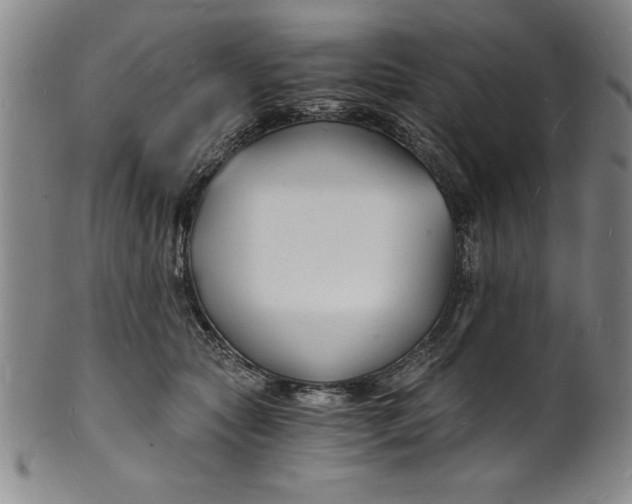 X0000102220561200808081319