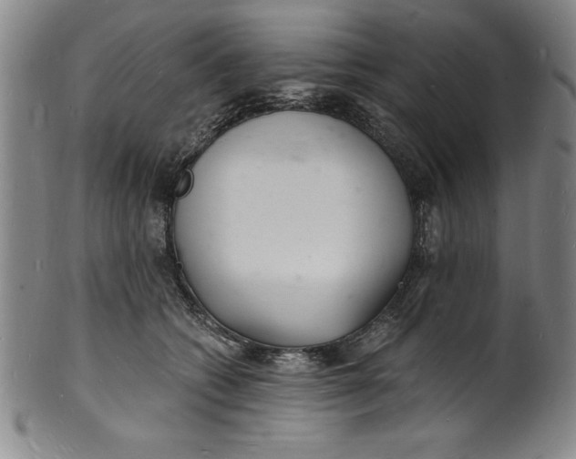 X0000102220562200808081319