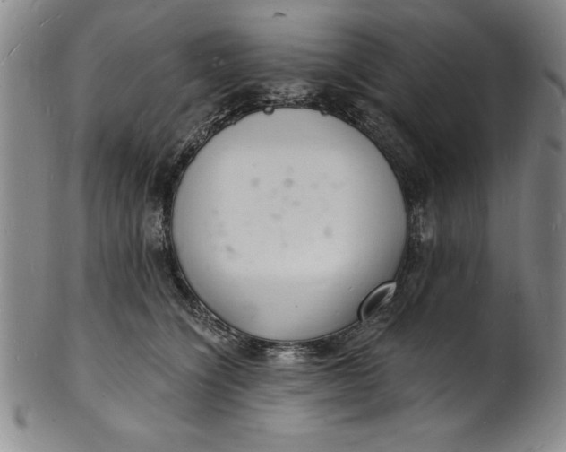 X0000102220564200808081319