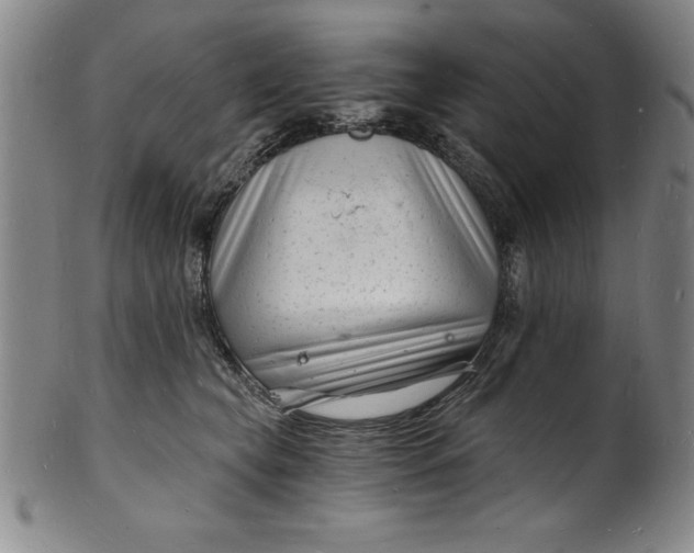 X0000102220565200808081319