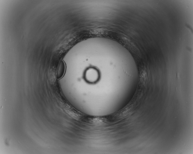 X0000102220566200808081319