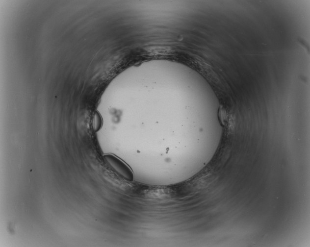 X0000102220567200808081319