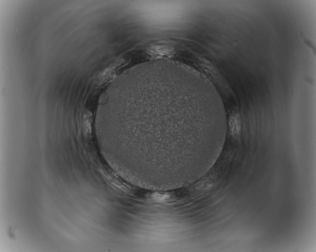 X0000102220570200808081319