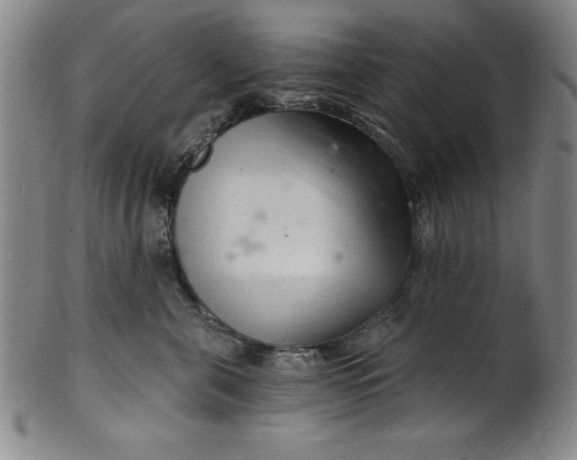 X0000102220571200808081319