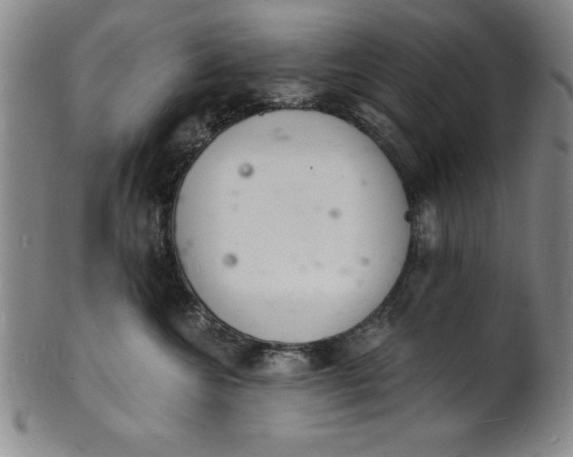 X0000102220572200808081319