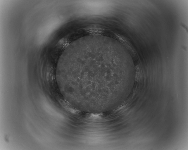 X0000102220573200808081319