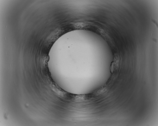 X0000102220574200808081319