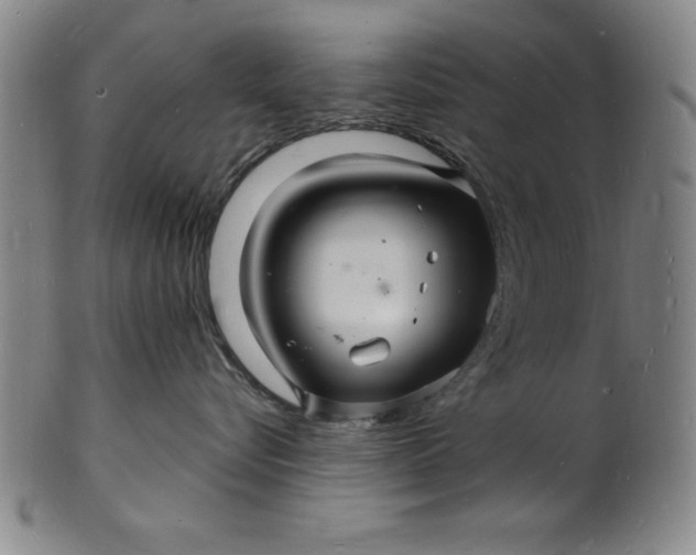 X0000102220576200808081319