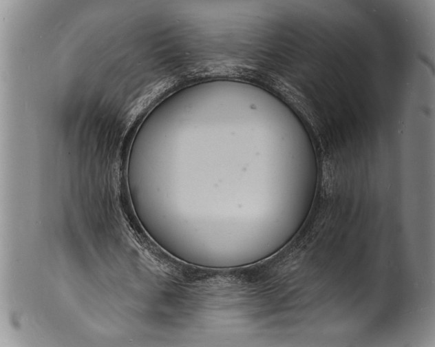 X0000102220578200808081319