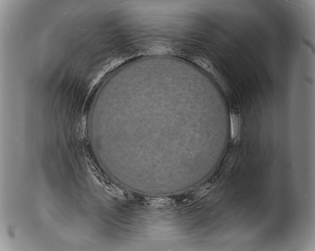 X0000102220579200808081319