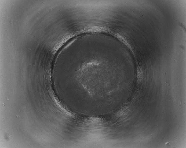 X0000102220581200808081319