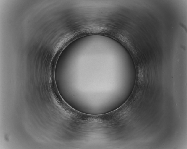 X0000102220582200808081319