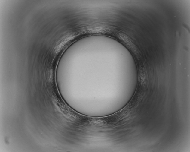 X0000102220583200808081319