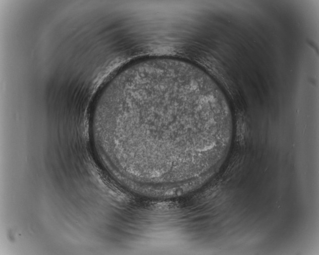 X0000102220584200808081319