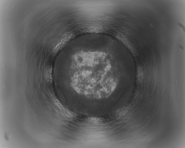 X0000102220585200808081318