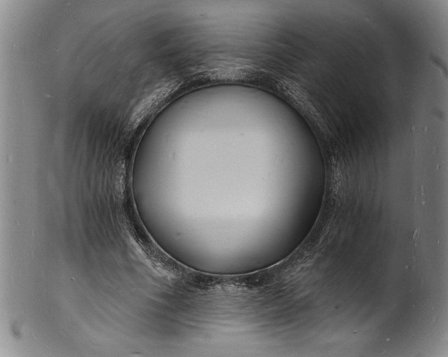 X0000102220586200808081318