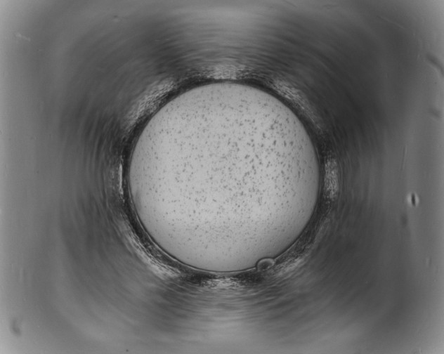 X0000102220589200808081318